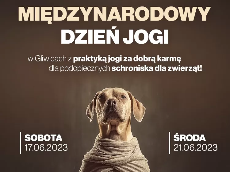 Międzynarodowy Dzień Jogi w Gliwicach
