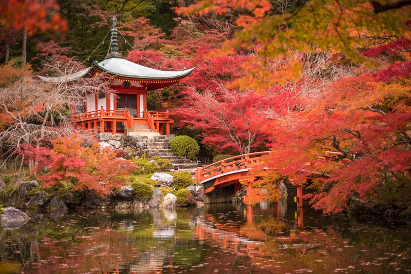 Podróż do Japonii z medytacją